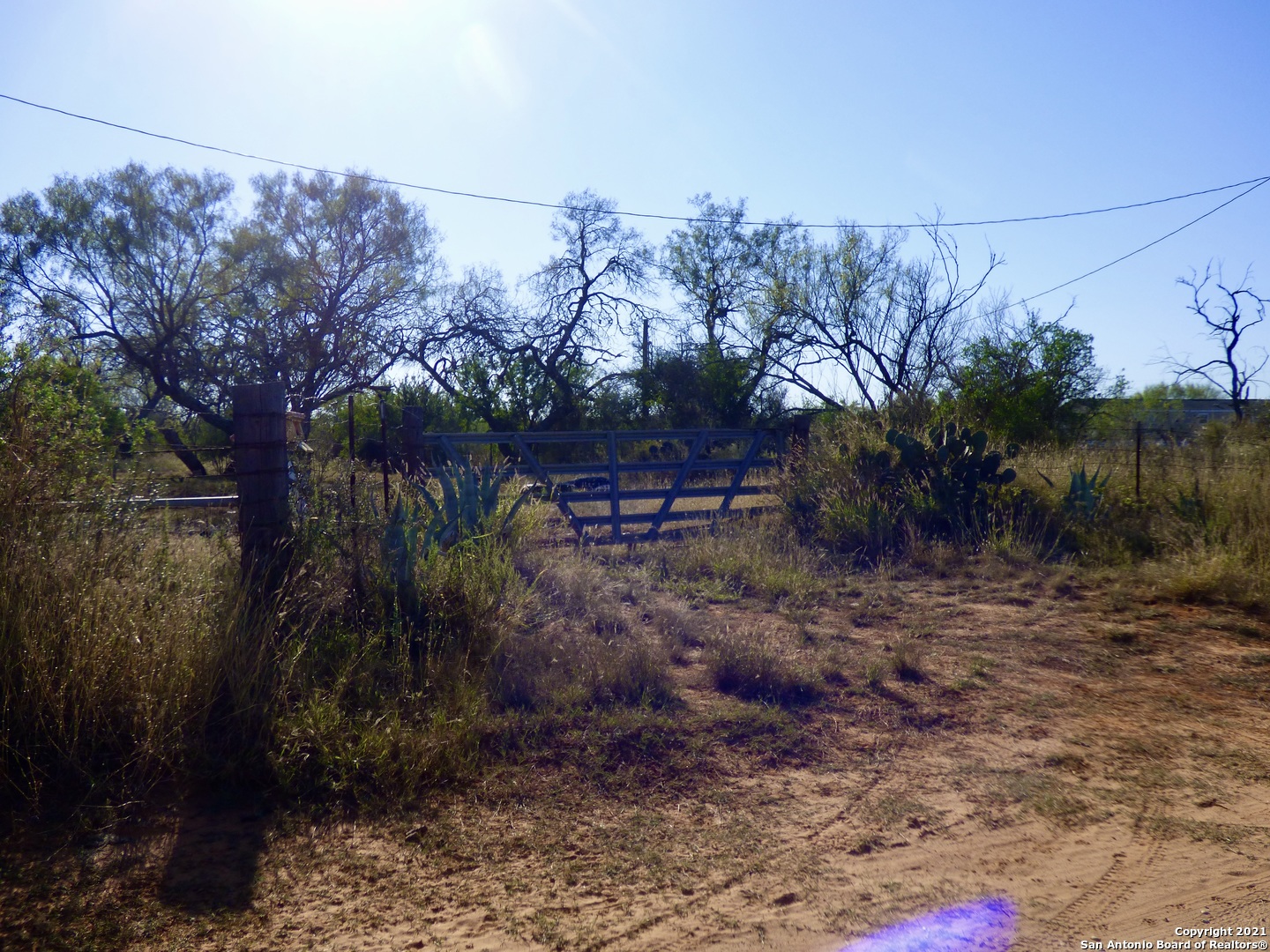 293 Mendiola Road Jourdanton, TX 78026 - Photo 1 of 1 a backyard of a house with lots of green space