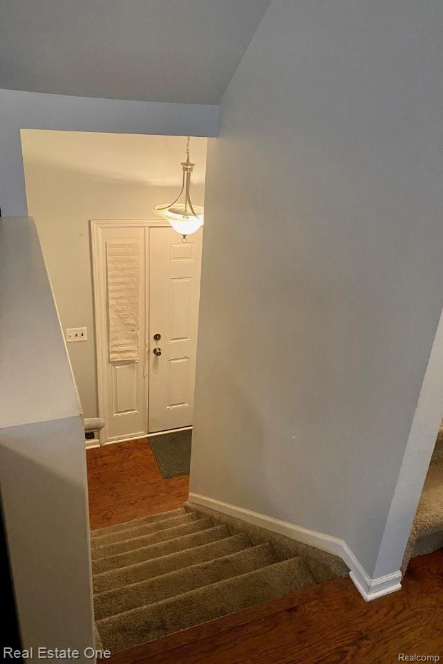 20330 Rodeo Court Southfield, MI 48075 - Photo 36 of 43 51234.jpeg