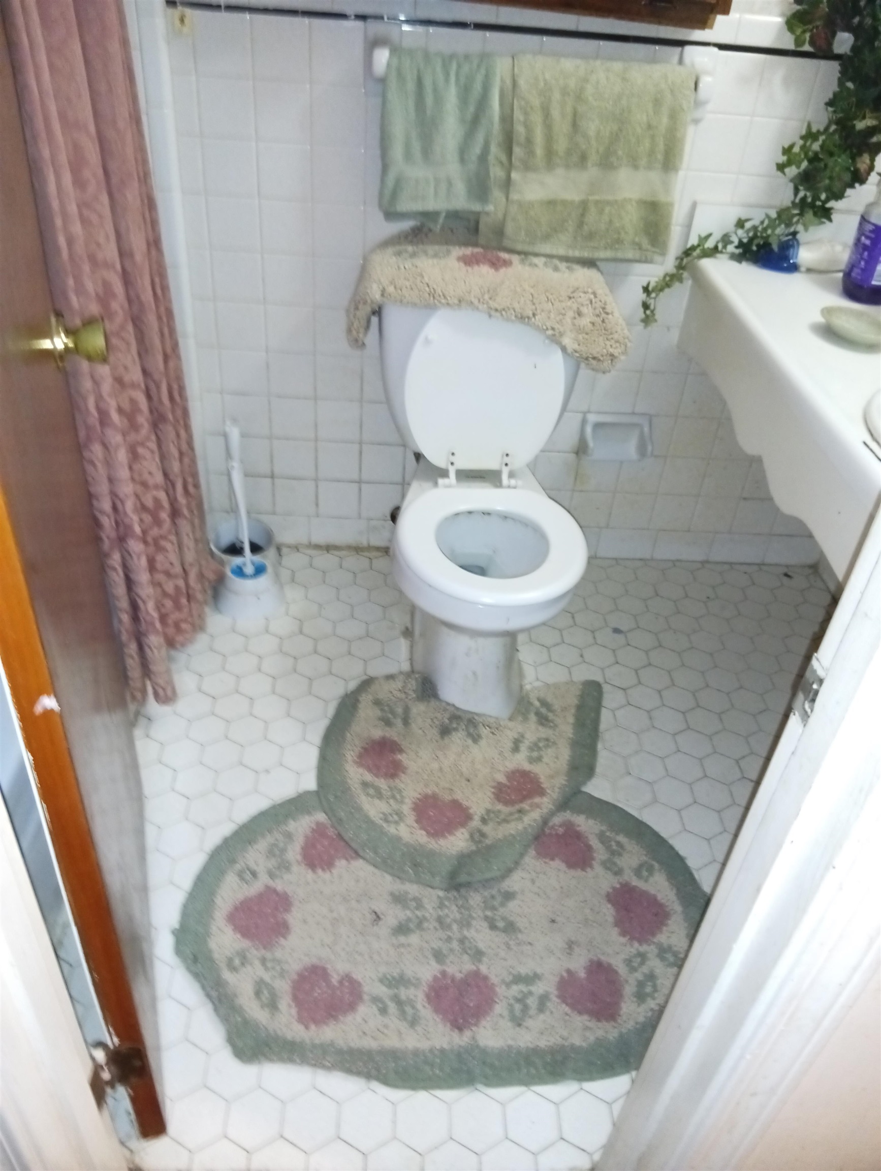 4876 Cottonwood Road Memphis, TN 38118 - Photo 2 of 6 a bathroom with a toilet and a sink