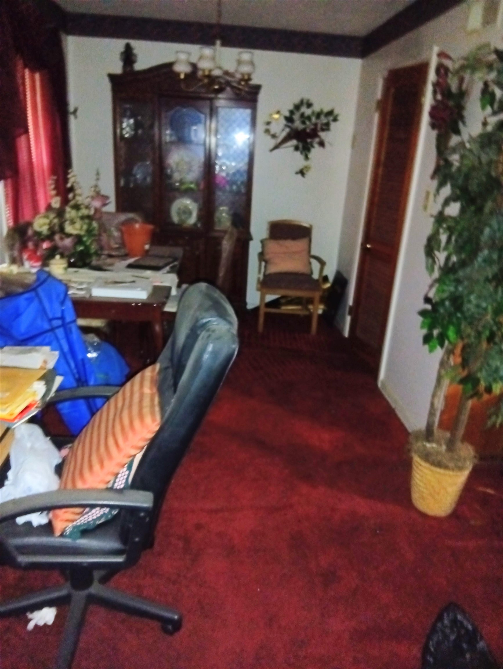 4876 Cottonwood Road Memphis, TN 38118 - Photo 4 of 6 a living room with furniture and a potted plant