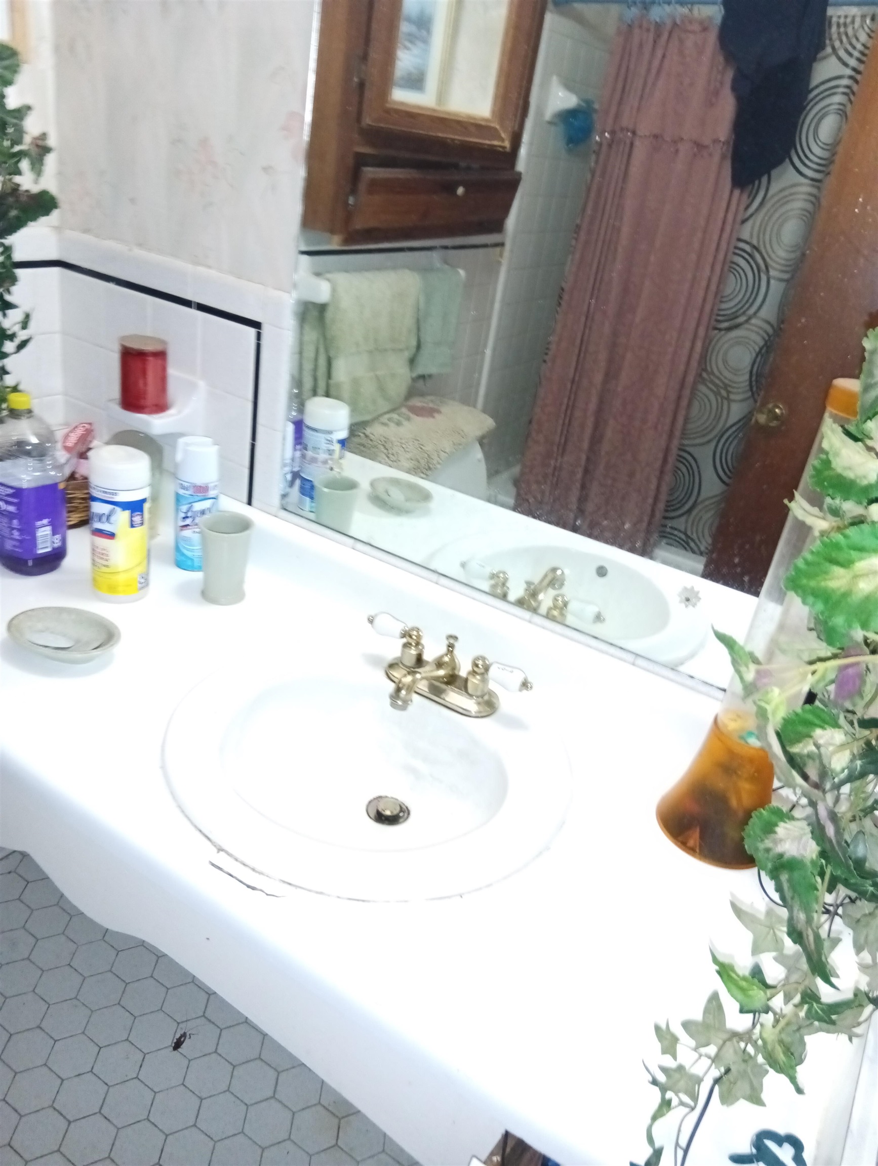 4876 Cottonwood Road Memphis, TN 38118 - Photo 6 of 6 a bathroom with a sink and a mirror