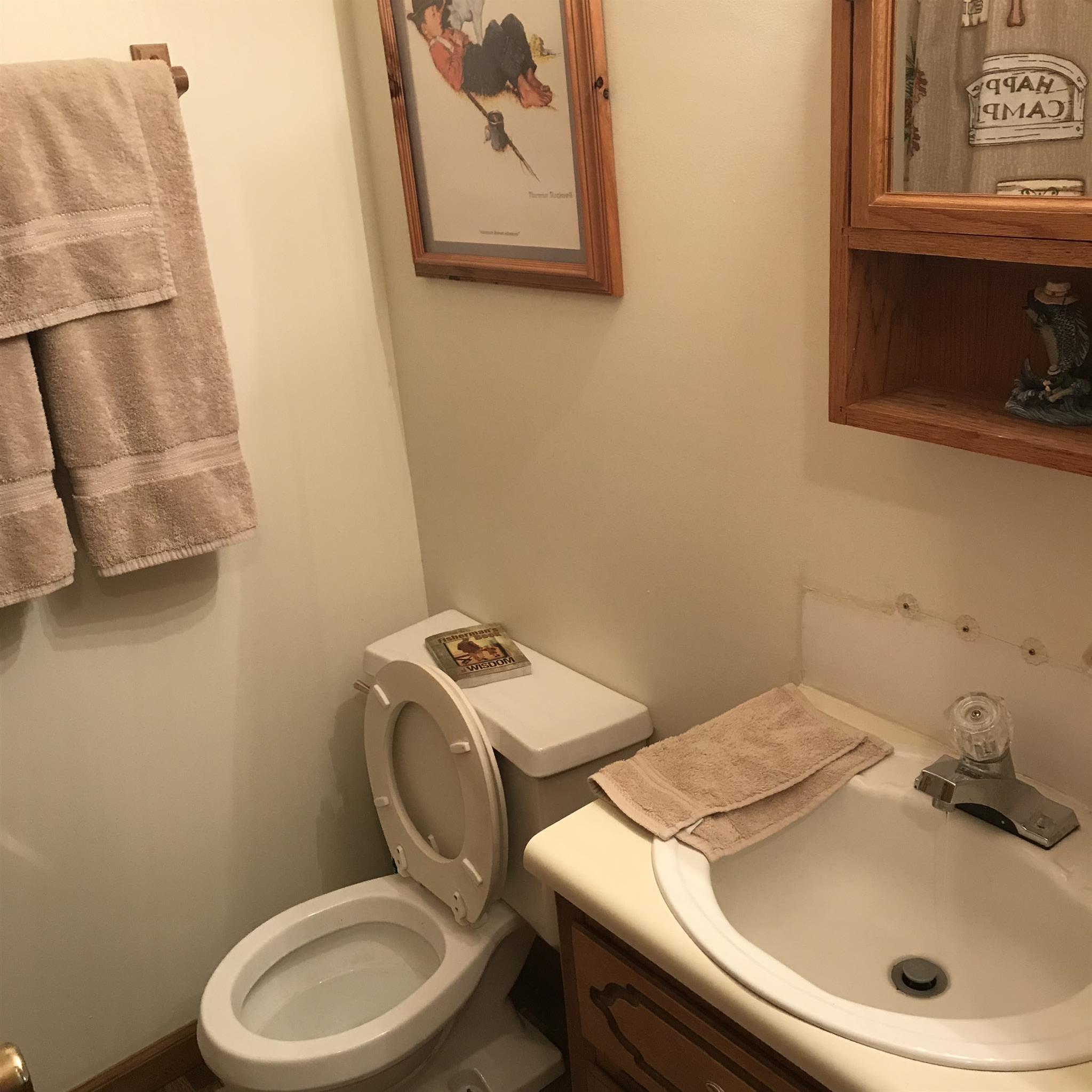 1577 Lake Logan Road Ardmore, TN 38449 - Photo 9 of 25 Full Bath