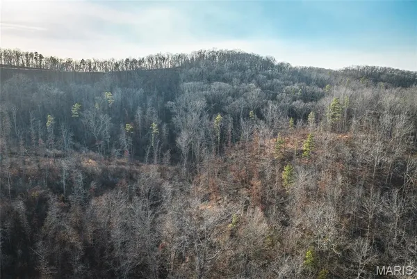 $79,800 | 0 County Road, Eminence, MO 65466