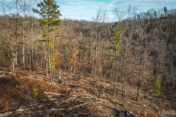 $79,800 | 0 County Road, Eminence, MO 65466