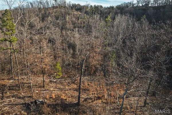 $79,800 | 0 County Road, Eminence, MO 65466