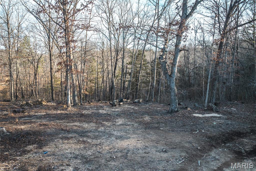 0 County Road Eminence, MO 65466 - Photo 29 of 31