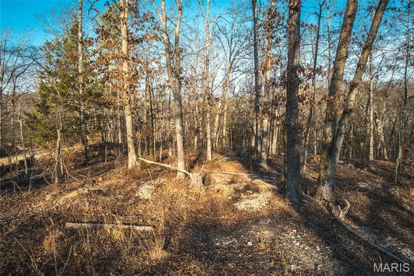 $79,800 | 0 County Road, Eminence, MO 65466