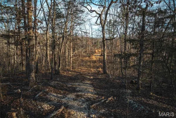 $79,800 | 0 County Road, Eminence, MO 65466