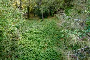 585 Mountain Road Westminster, SC 29693 - Photo 3 of 20 A verdant, undeveloped lot offers potential for a private, natural setting.