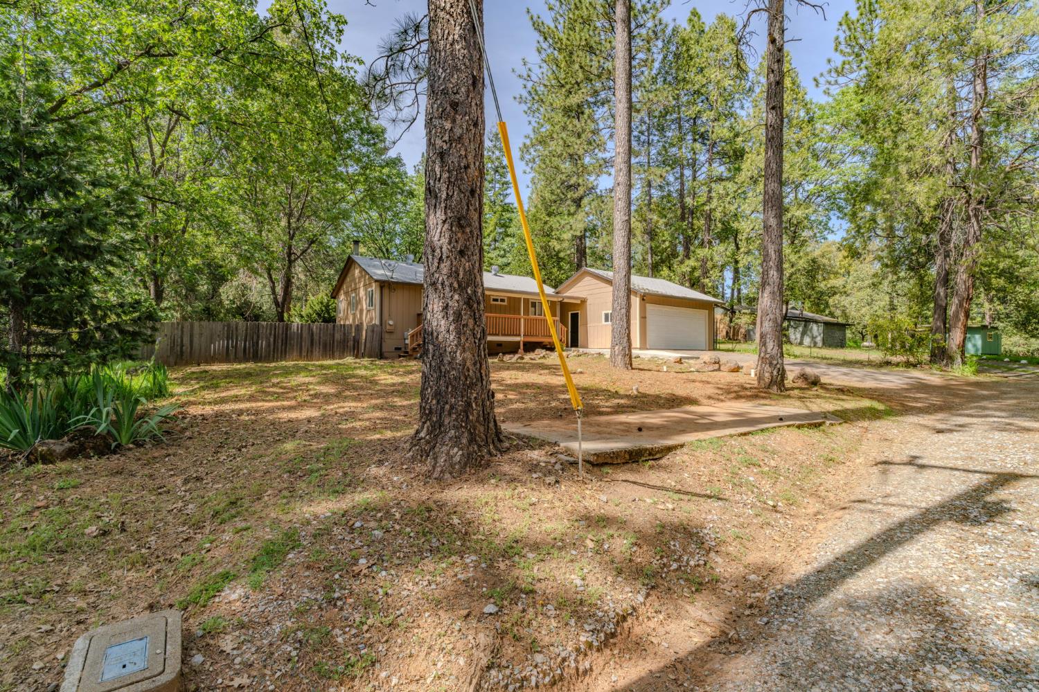 19479 Murphy Road Pine Grove, CA 95665 - Photo 9 of 43 a view of a house with backyard and trees