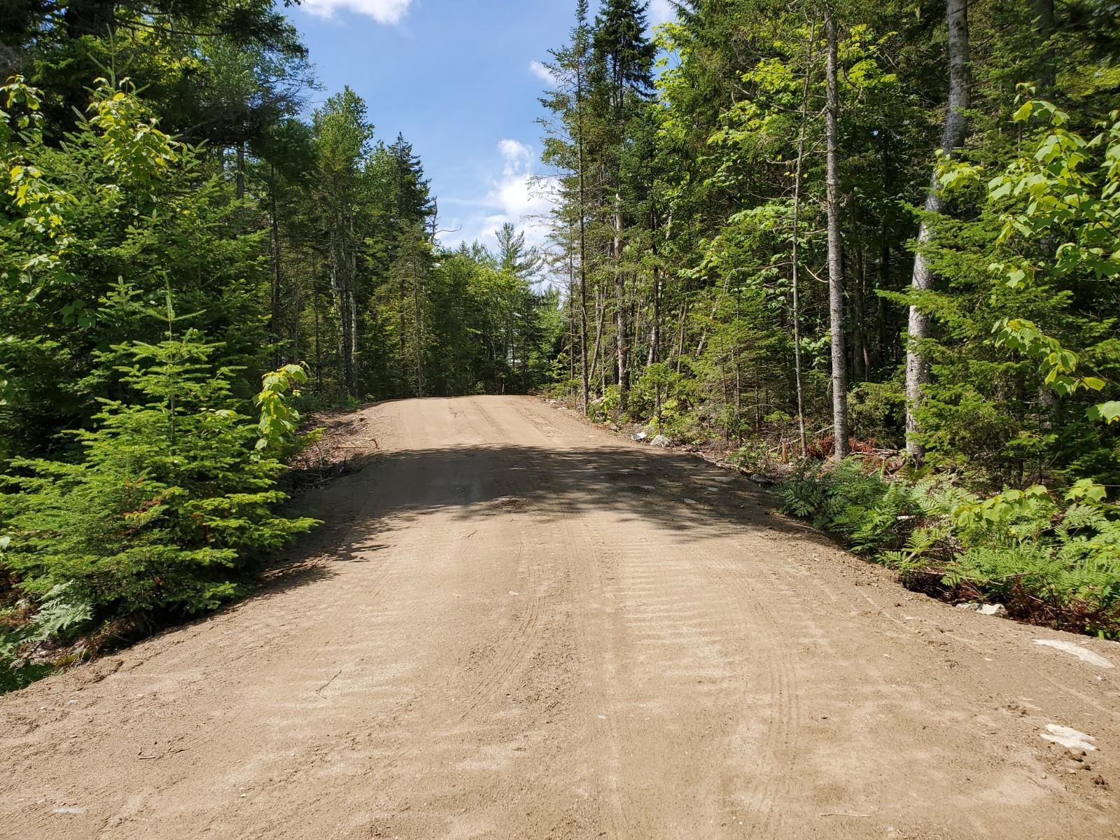 Lot 10 Birch Point Road Cooper, ME 04657 - Photo 2 of 7 20200713_114148