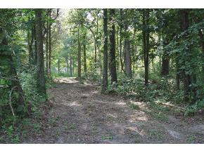 Lot 2 Allens Bridge Road, Unit 2 Greeneville, TN 37743 - Photo 1 of 8 Photo 1