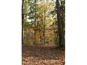 Lot 2 Allens Bridge Road, Unit 2 Greeneville, TN 37743 - Photo 3 of 8 Photo 3