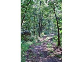 Lot 2 Allens Bridge Road, Unit 2 Greeneville, TN 37743 - Photo 4 of 8 Photo 4