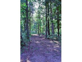 Lot 2 Allens Bridge Road, Unit 2 Greeneville, TN 37743 - Photo 6 of 8 Photo 6