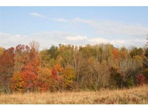 Lot 2 Allens Bridge Road, Unit 2 Greeneville, TN 37743 - Photo 7 of 8 Photo 7