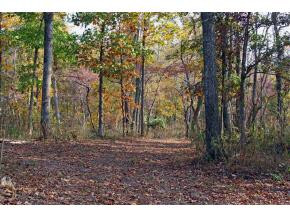 Lot 2 Allens Bridge Road, Unit 2 Greeneville, TN 37743 - Photo 8 of 8 Photo 8