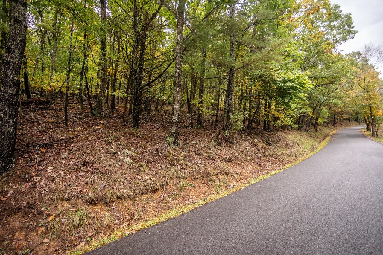 -8.87 Ac 8.87-ac Dry Run Road Sugar Grove, WV 26815 - Photo 11 of 35 a view of backyard with green space