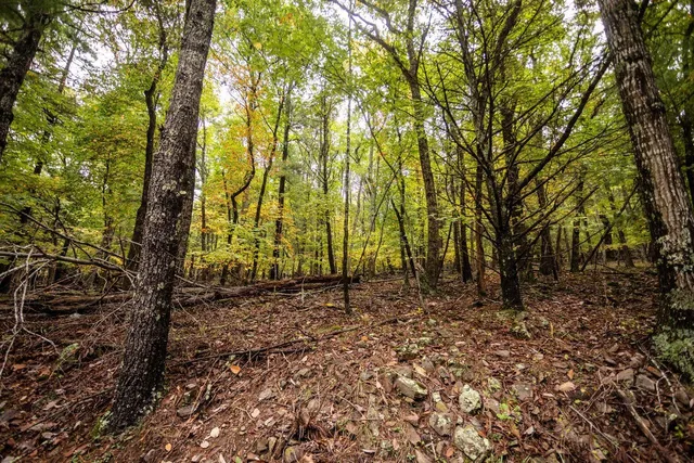 a view of a mountain range with trees in the background