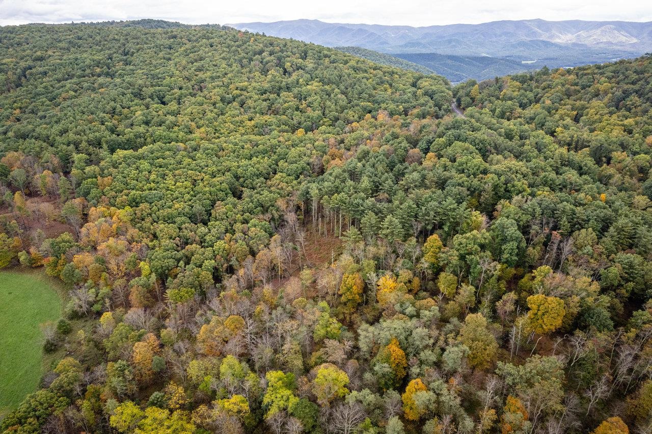 -8.87 Ac 8.87-ac Dry Run Road Sugar Grove, WV 26815 - Photo 14 of 35 a view of a field with a tree