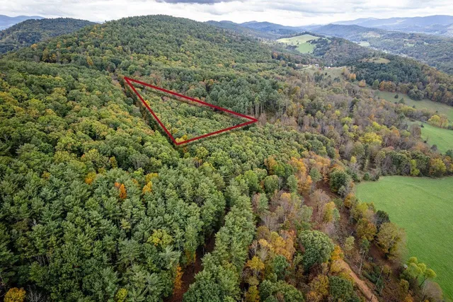 a view of a lush green forest with lush green forest