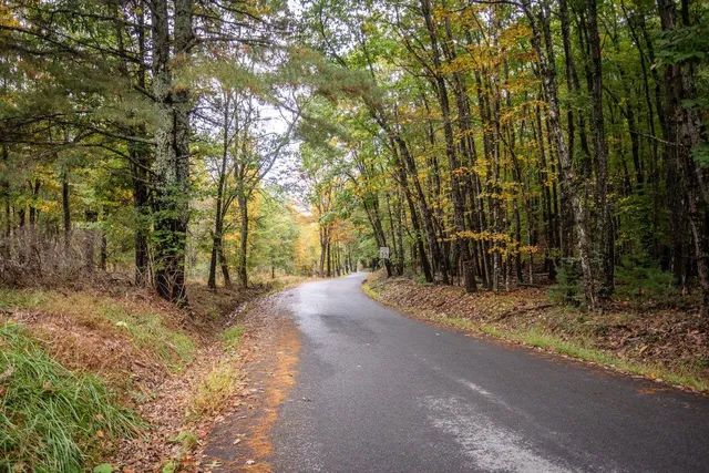 a view of backyard space and trees