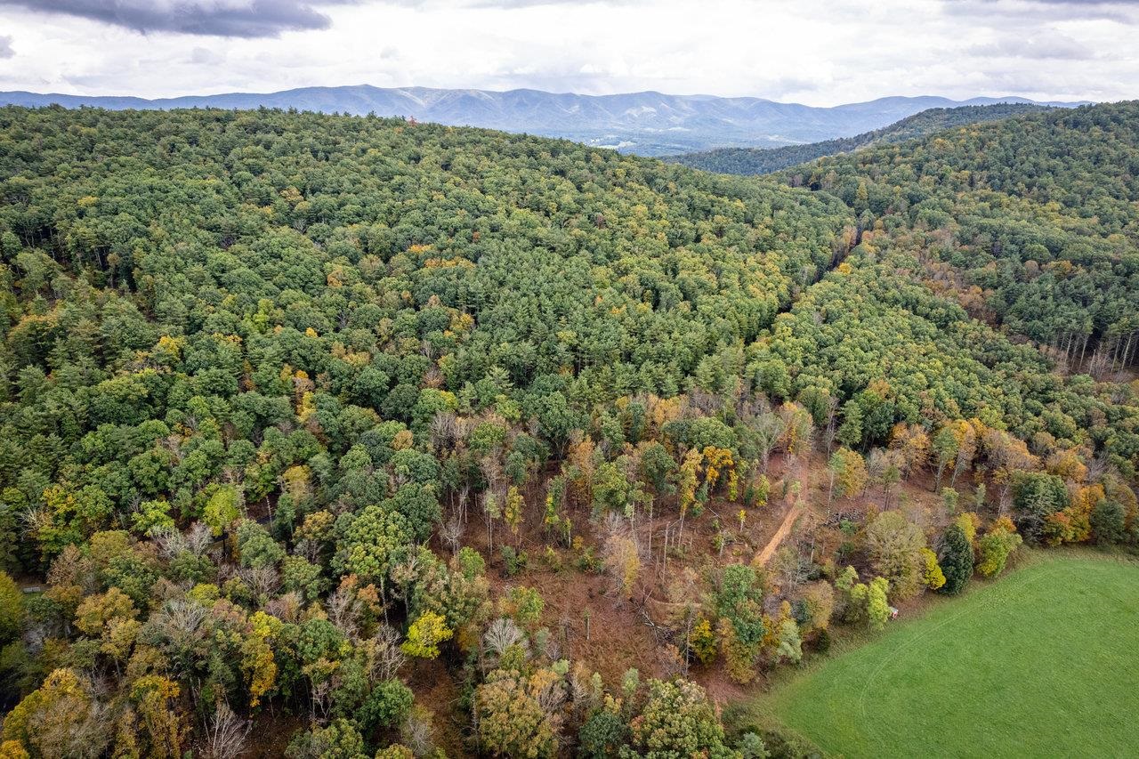-8.87 Ac 8.87-ac Dry Run Road Sugar Grove, WV 26815 - Photo 24 of 35 a view of a lush green forest with a yard