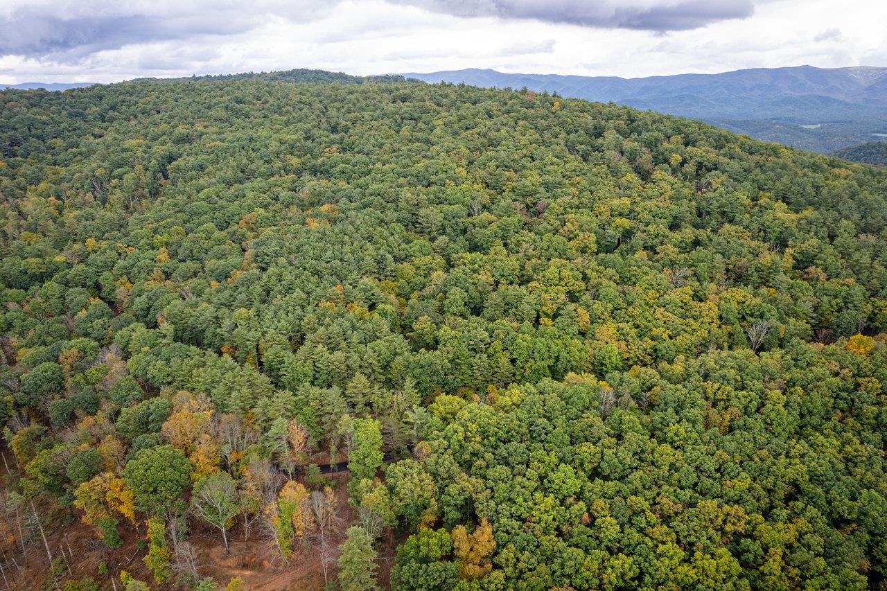 -8.87 Ac 8.87-ac Dry Run Road Sugar Grove, WV 26815 - Photo 25 of 35 a view of a lush green forest with a house