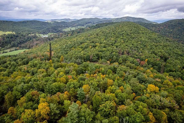 a view of a lush green forest with mountains in the background