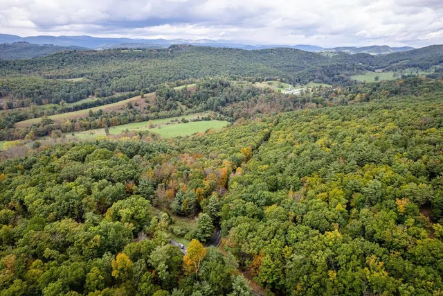 a view of a field with an ocean