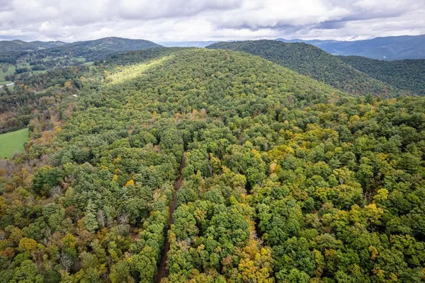 a view of a forest from a balcony