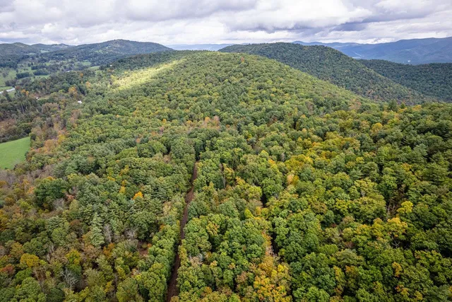 a view of a forest from a balcony
