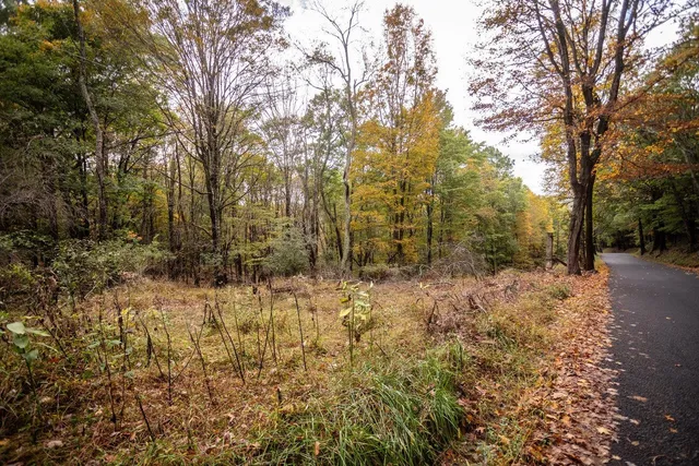 a view of outdoor space with trees