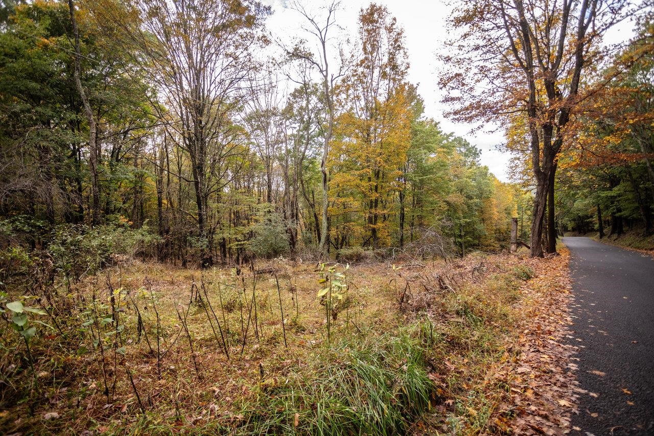 -8.87 Ac 8.87-ac Dry Run Road Sugar Grove, WV 26815 - Photo 7 of 35 a view of a forest filled with trees