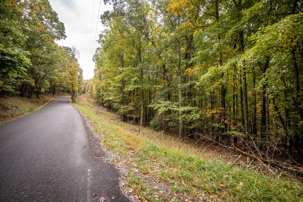 -8.87 Ac 8.87-ac Dry Run Road Sugar Grove, WV 26815 - Photo 10 of 35 a view of a pathway with a yard