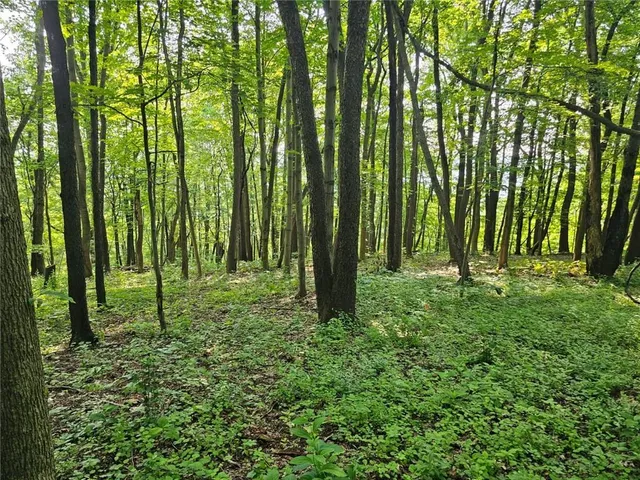 a view of outdoor space with deck and yard
