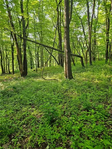 a view of backyard with green space