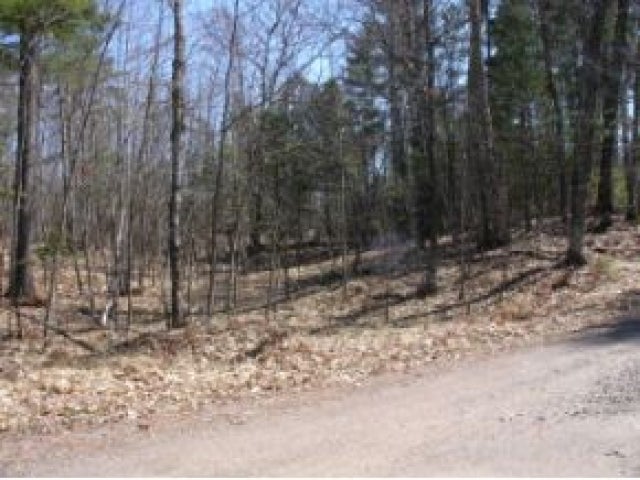 Lot 5 Thoroughfare Road Minocqua, WI 54548 - Photo 5 of 5 Gallery Image 5