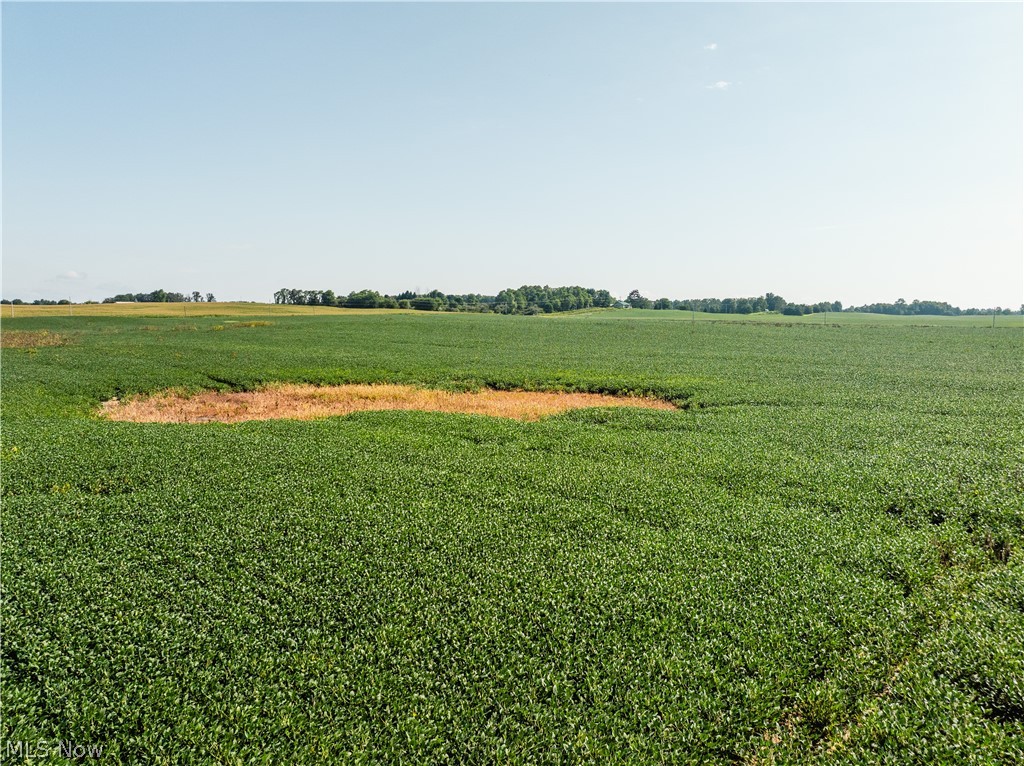 Sycamore Road Centerburg, OH 43011 - Photo 30 of 50 Gallery Image 30