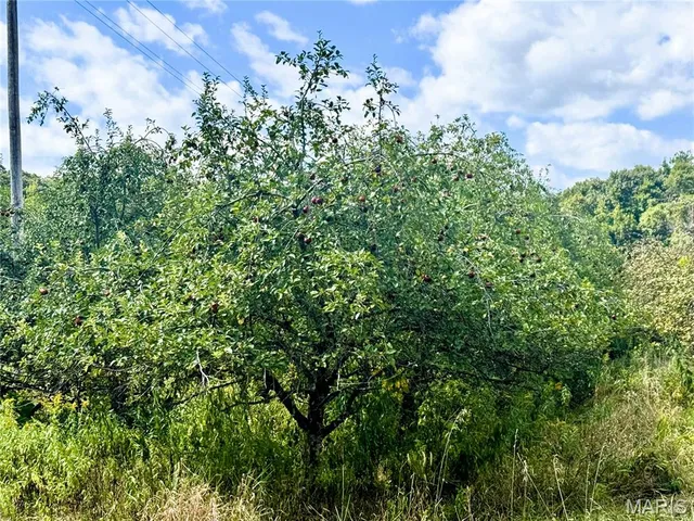 $289,000 | 65 Oak Valley Drive, Troy, MO 63379