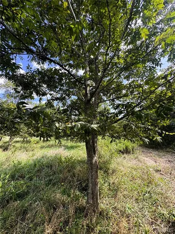 $289,000 | 65 Oak Valley Drive, Troy, MO 63379