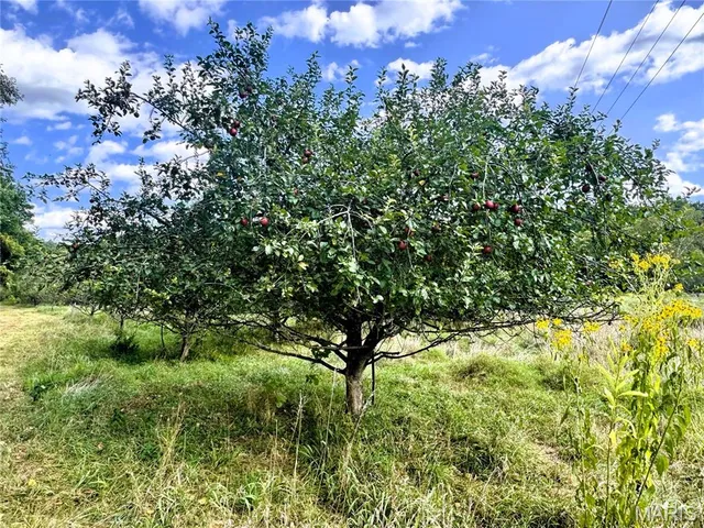 $289,000 | 65 Oak Valley Drive, Troy, MO 63379