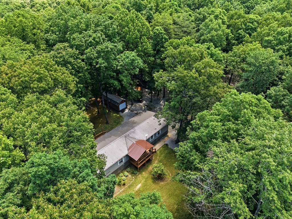 236 Grapevine Road Crossville, TN 38572 - Photo 40 of 44 Gallery Image 40