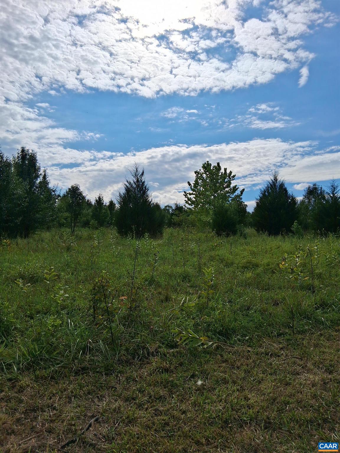 Lot 4 Ridge Road, Unit 4 Palmyra, VA 22963 - Photo 2 of 6 Gallery Image 2