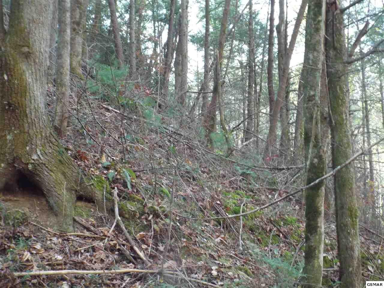 0 Loop Road Gatlinburg, TN 37738 - Photo 9 of 9