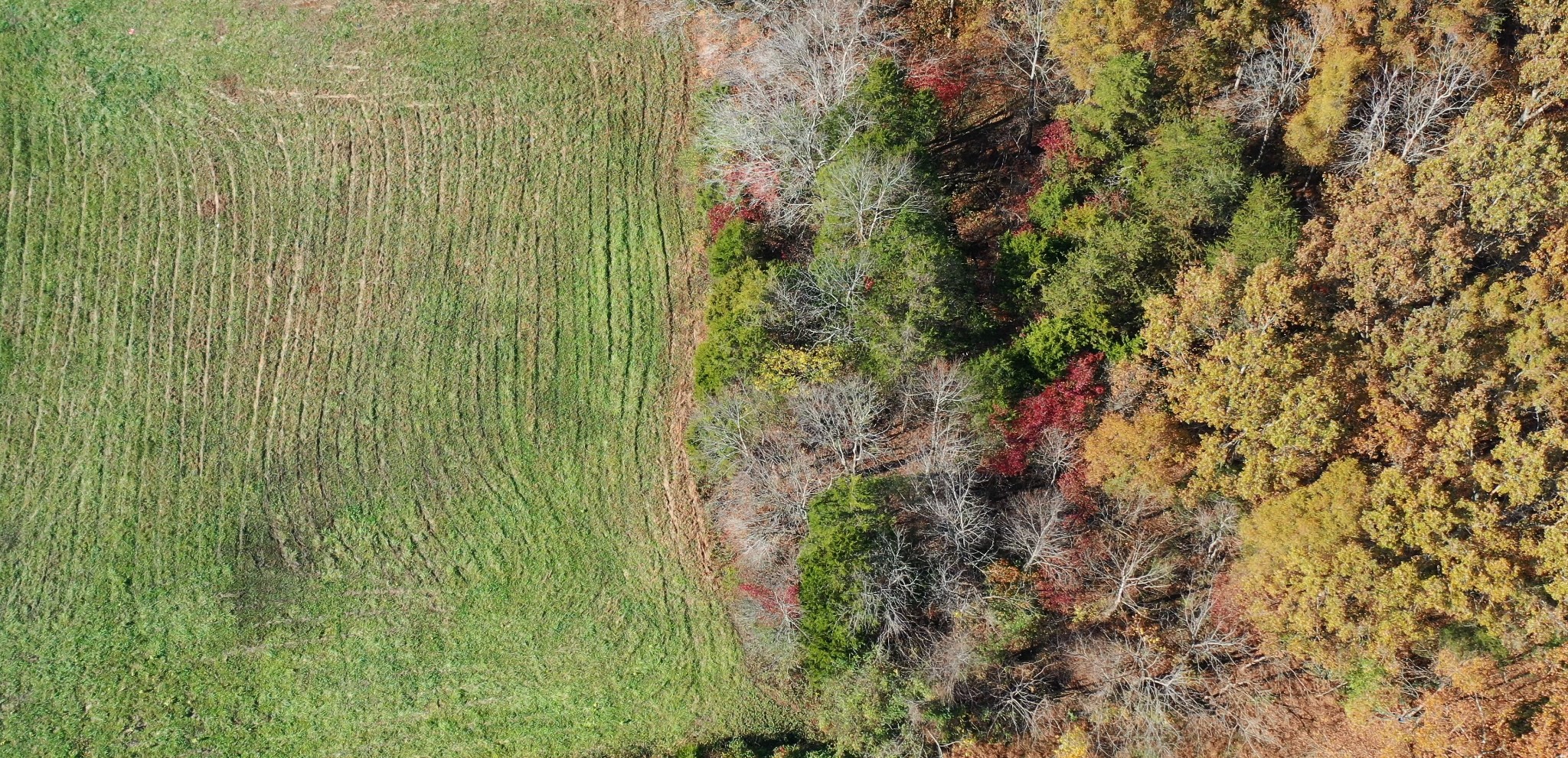 0 Green Road Southwest Sparta, TN 38583 - Photo 2 of 5 Gallery Image 2