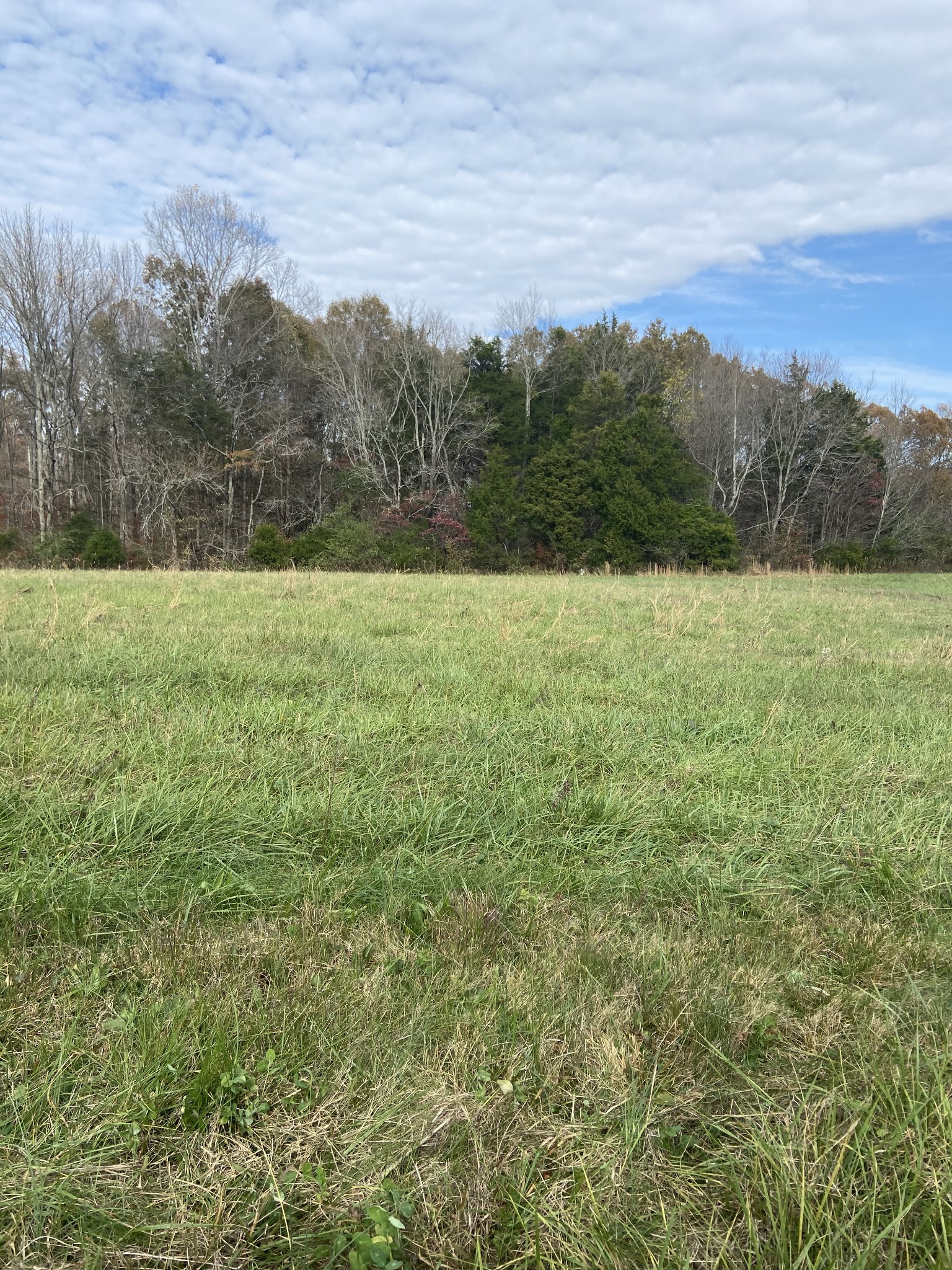 0 Green Road Southwest Sparta, TN 38583 - Photo 4 of 5 Gallery Image 4