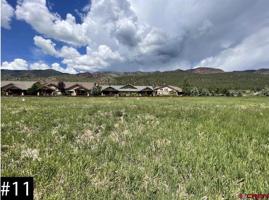 a view of a green field with mountains in the background
