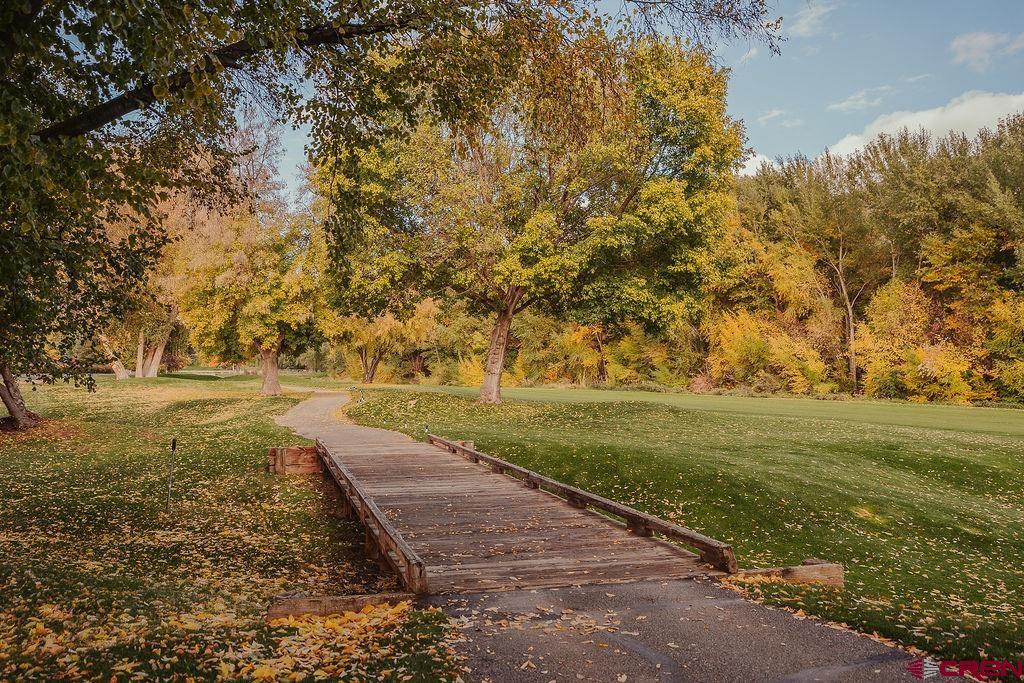 199 West Dalton Road Durango, CO 81301 - Photo 15 of 26 a view of a yard with an trees