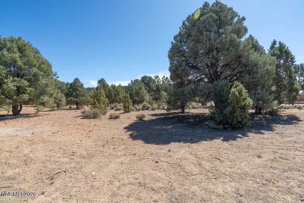 2291 Empire Road Reno, NV 89521 - Photo 38 of 40 backyard5